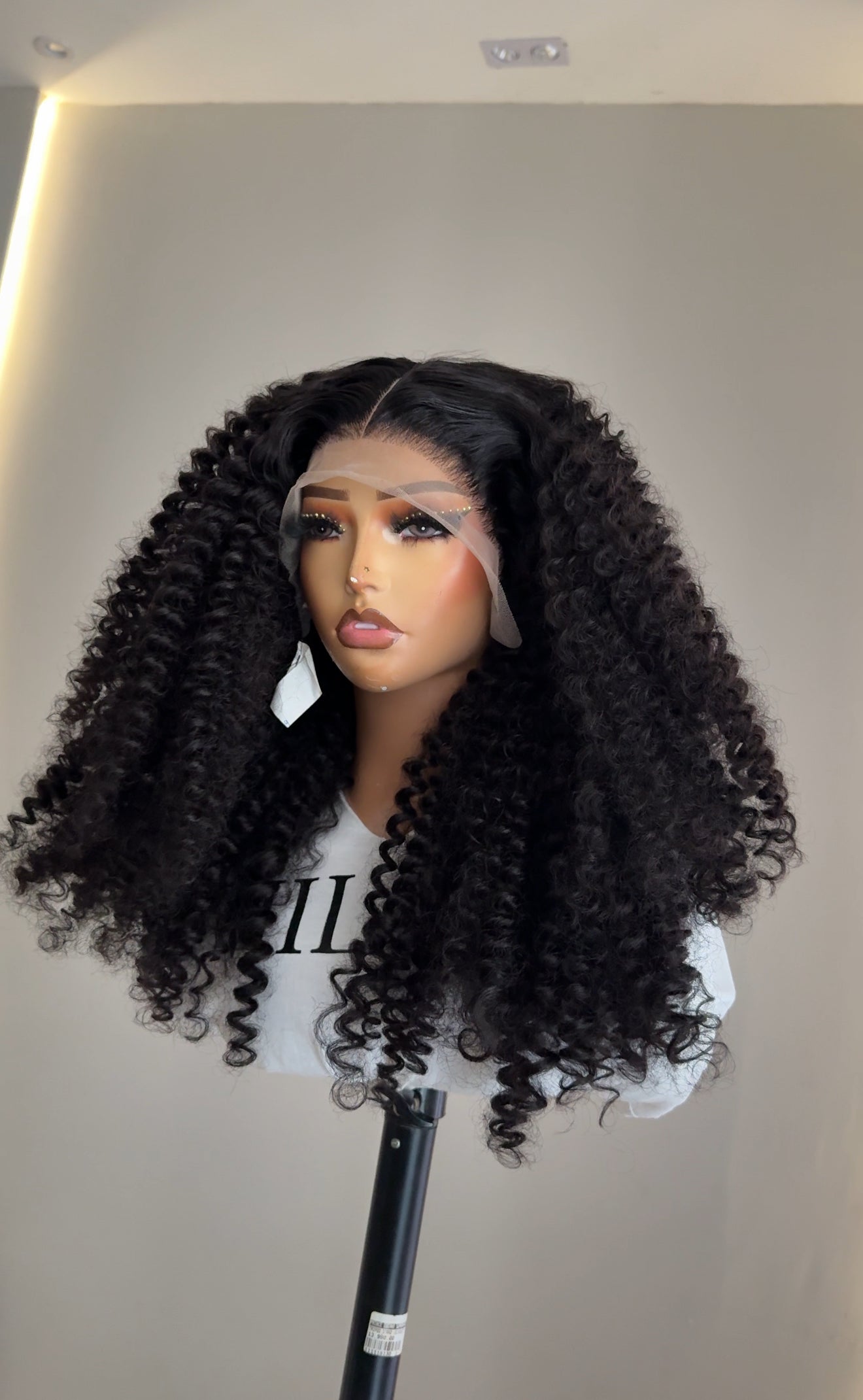 BURMESE CURLY (lookalike)
