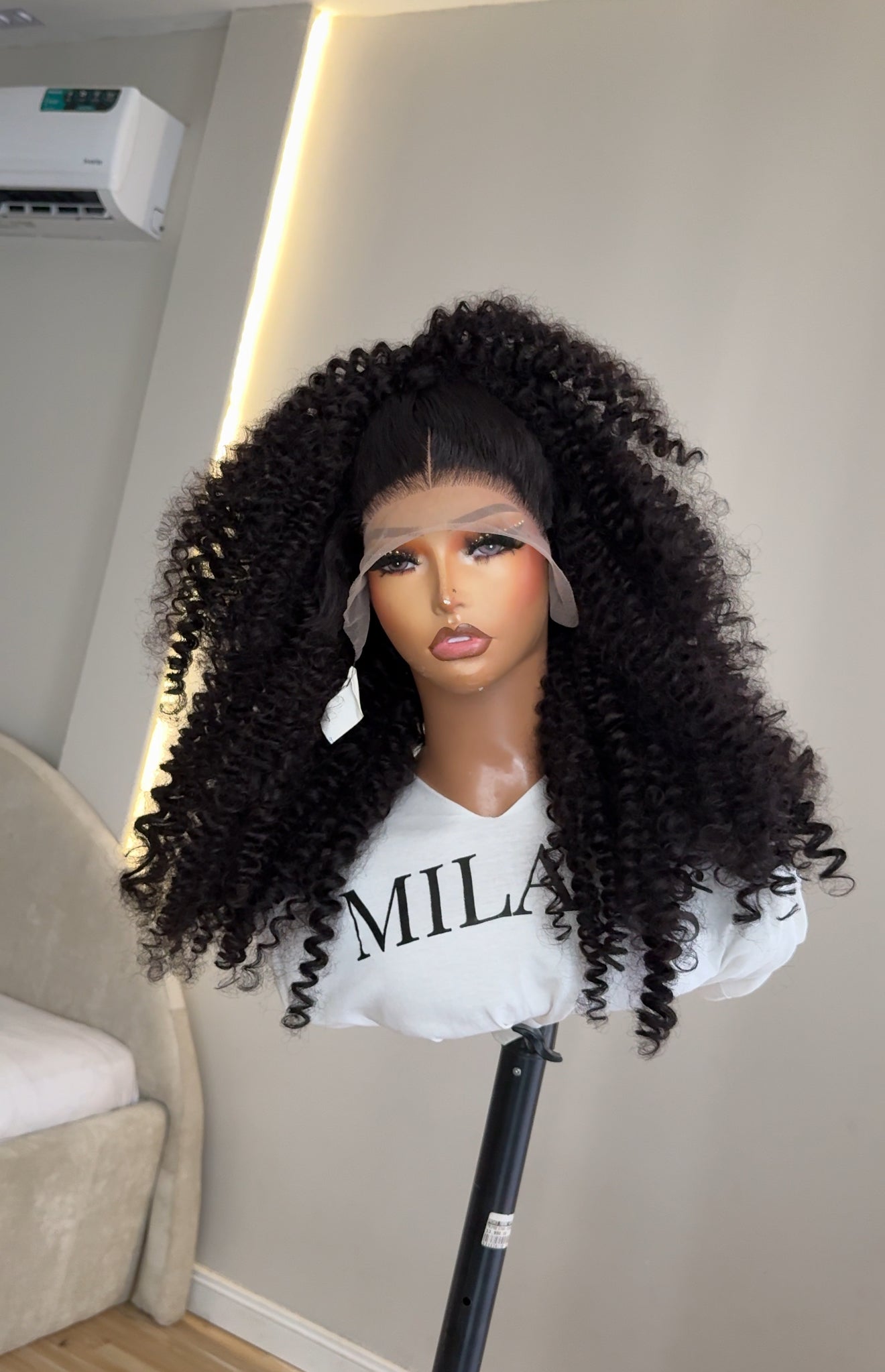 BURMESE CURLY (lookalike)
