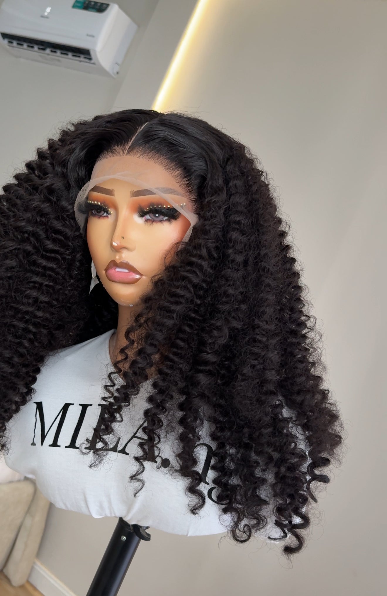 BURMESE CURLY (lookalike)